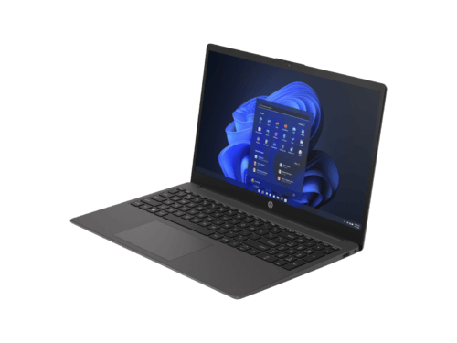HP 250 G10 15.6" Celeron N100 8GB 256GB SSD Dark Ash Win 11 Home Notebook